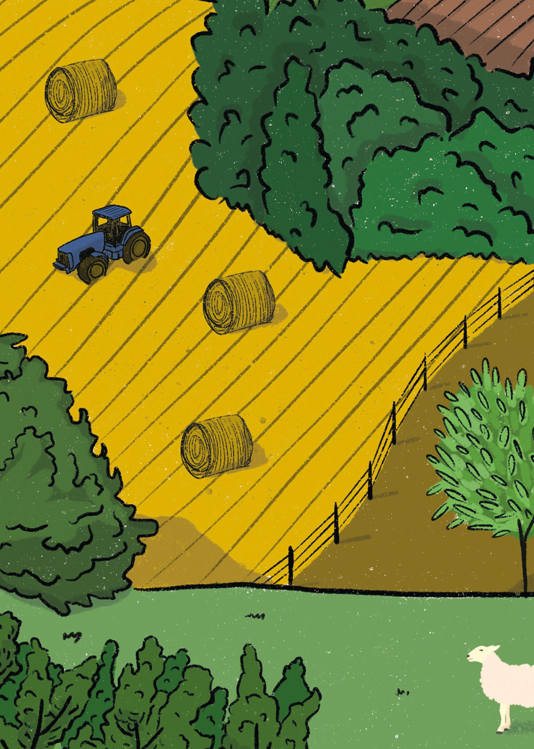 copie gers plateau de jeu