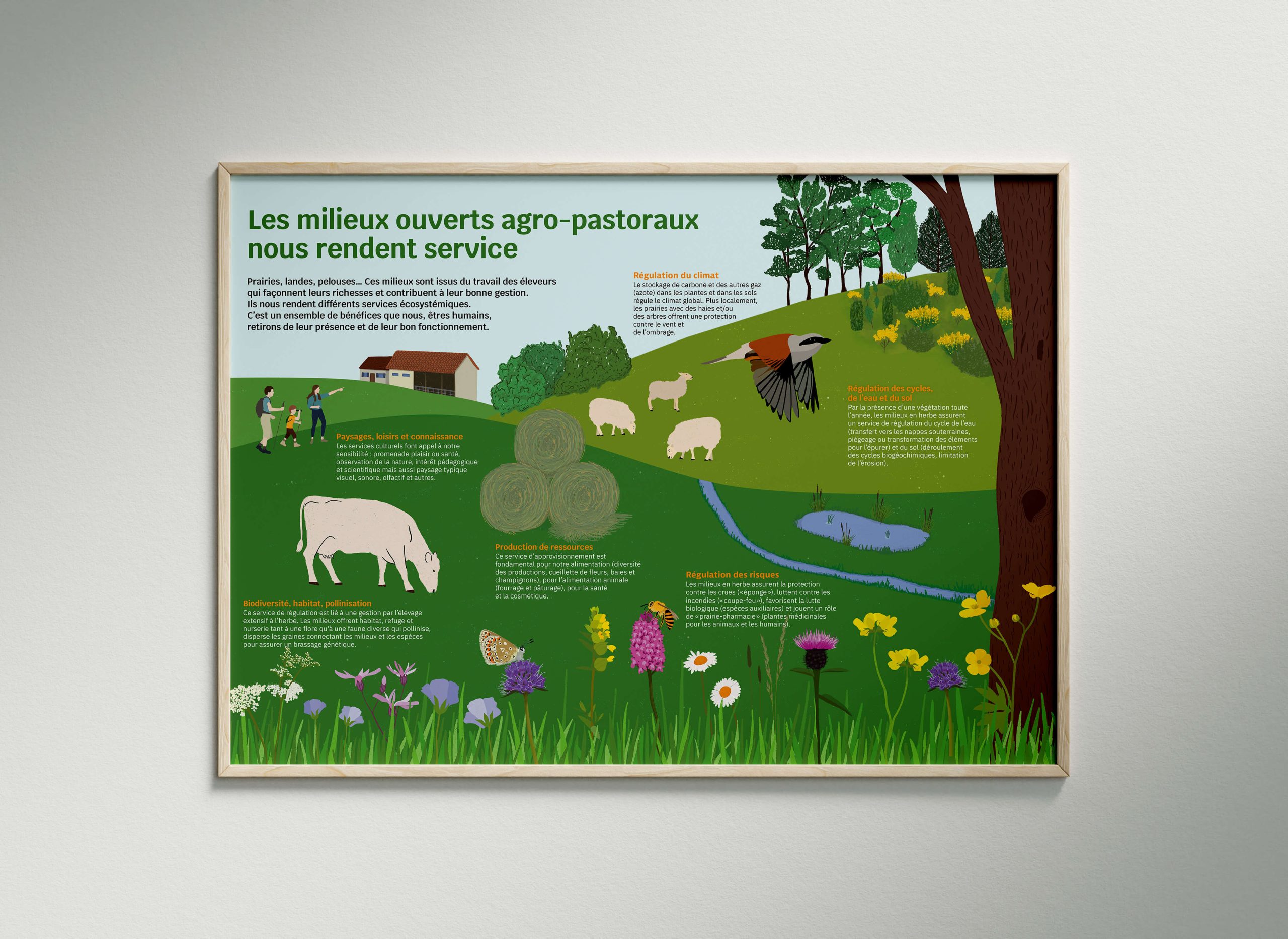 ADASEA POSTER MOAP
