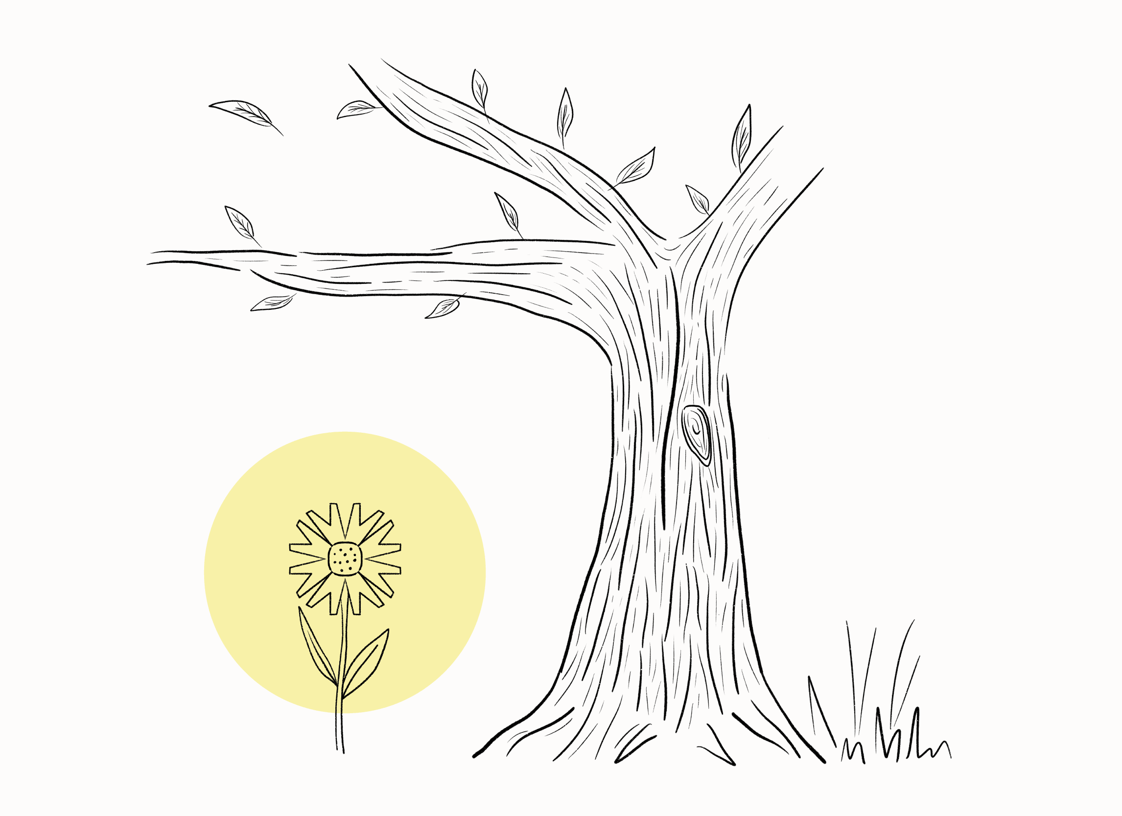 pres_OT_header